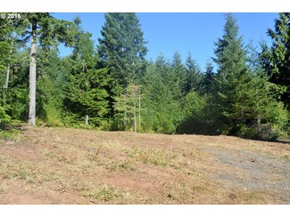 0 Winberry Creek Rd, Fall Creek, OR 97438
