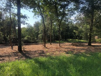 24600 Kerry St, Hempstead, TX 77445