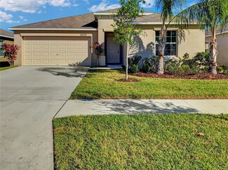 16909 Peaceful Valley Dr, Wimauma, FL 33598