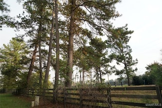 587 Hayneville Ridge Rd, Mathews, AL 36052