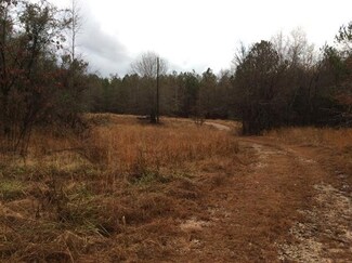 1349 Stoney Grove Church Rd, Warrenton, GA 30828