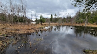 0 Bingo Road Drive (Private Locked Gate Unit call to see, Edwards, NY 13635