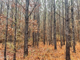 000 Little Rock County Line Rd, Union, MS 39365