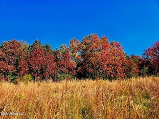 0 J L Robbins Rd, Carson, MS 39427