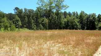 105 Hugh White State Park Rd, Grenada, MS 38901
