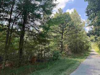 0 Fancy Rd, Dresden, TN 38225