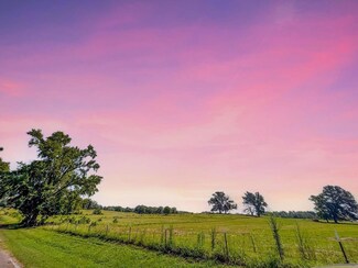 TBD Plat 1cr 1236, Quitman, TX 75783