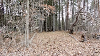 0 V L Ne County Line Rd Unit LotWP001, Coleman, MI 48618