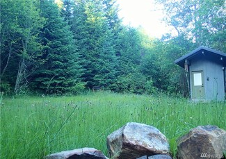 0 Butler Rd Unit 882213, Randle, WA 98377