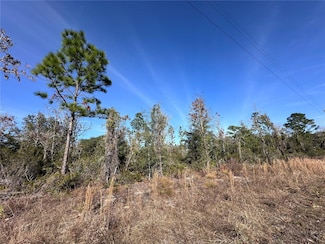 TBD NE 117th Terrace, Williston, FL 32696