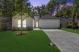 2 E Wavy Oak Cir, Spring, TX 77381