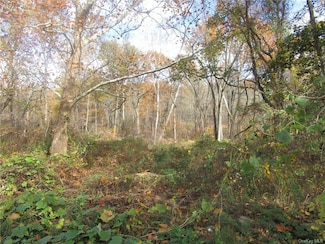 3766 Foothill St, Mohegan Lake, NY 10547