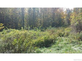 5076 Gardiner Rd, Fillmore, NY 14735