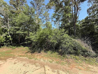 0000, Woodville, TX 75979