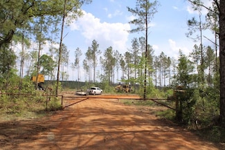 0 Stowey Parkman Rd Unit LotWP001, Oak Vale, MS 39656