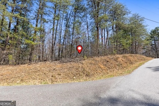 LOT 41 Tomahawk Ln Unit 41, Mineral Bluff, GA 30559