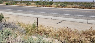 0 Vac Pb Hwy Vic 208th Ste Unit CV23074151, Llano, CA 93544