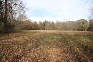10 Acres N Nopone Valley Rd, Decatur, TN 37322