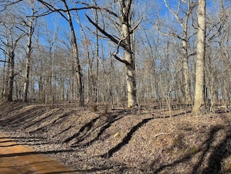Tract 12 County Road 256, Thayer, MO 65791
