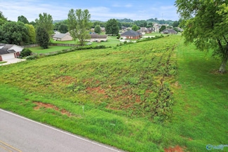 229 Kelly Spring Rd, Harvest, AL 35749