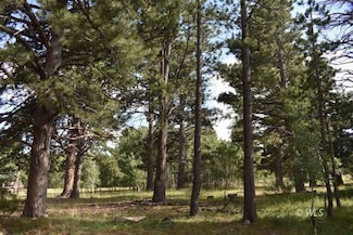 Lot 13 Little Horn Dr, Westcliffe, CO 81252