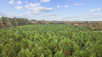 Lot 4 Creek Landing Rd, Nichols, SC 29581