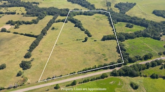 TBD Farm To Market 1246, Thornton, TX 76687