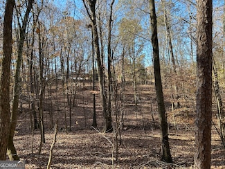 0 Dove Hill Rd Unit 10637645, Royston, GA 30662