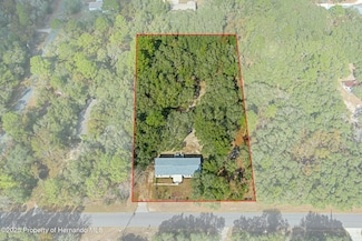 617 E Winnetka St, Hernando, FL 34442