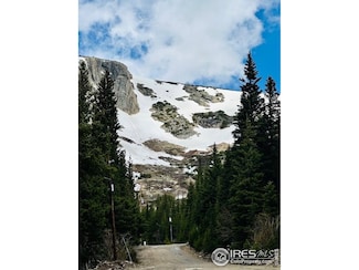 0 Mine Rd Unit 1036246, Idaho Springs, CO 80452
