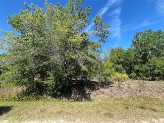 19629 NW 300th St, Okeechobee, FL 34972