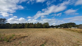 TBD 3 S Carolina 366 Unit Lot 3, Conway, SC 29526