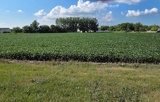 590 W Walnut St, Oglesby, IL 61348