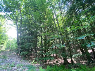 0 Tyler Way Unit 5043763, Bath, NH 03740