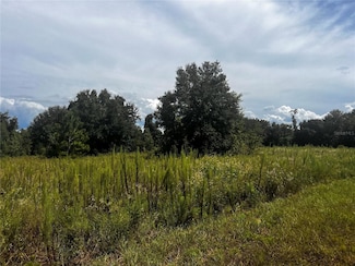 0 Sugarloaf Mountain Rd Unit MFRG5101741, Clermont, FL 34715