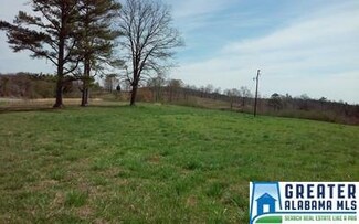 0 County Road 40 Unit 11 Ac 743893, Woodland, AL 36280