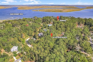 Lot 125 Sapelo Cir, Townsend, GA 31331