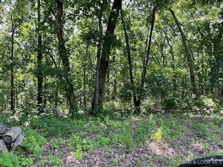 0 Chateau Oaks Dr, Glaze Township, MO 65017