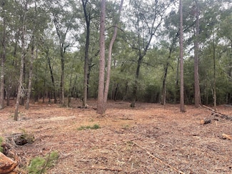 Tract B Mangum Rd, West Livingston, TX 77351