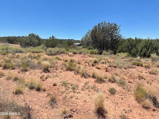 3538 State Road 77 -- Unit 1, Taylor, AZ 85939