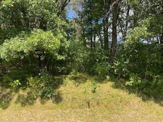 xxx 224th Ave NW, Big Lake Township, MN 55309