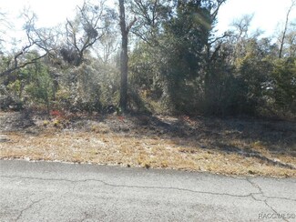 L 16 Sailboat Dr, Dunnellon, FL 34431
