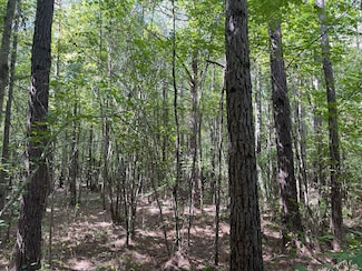 0 Olive Hill Rd, Beaverton, AL 35544