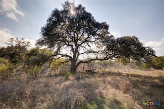 1463 Whispering Woods Trail, New Braunfels, TX 78132