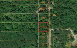 Lot 9 McMurphy Rd, Atlanta, MI 49709