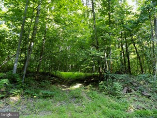 0 Frogtown Rd Unit 1002139090, Berryville, VA 22611
