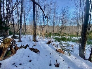 R7-45 Pendexter Rd, Parsonsfield, ME 04048