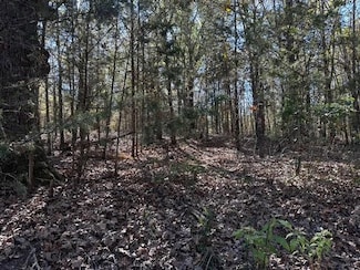 231 Private Rd 8507, van, TX 75790