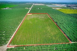 15963 W Jensen Ave, Kerman, CA 93630