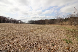 xxx 690th St, Martell Township, WI 54022